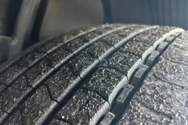 Man, TGX