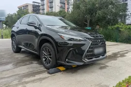 Lexus , NX, NX 250