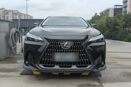 Lexus , NX, NX 250