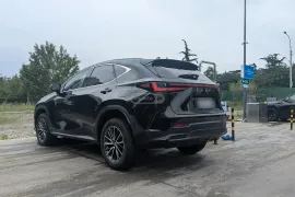 Lexus , NX, NX 250