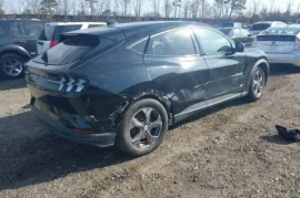 Ford, Mustang