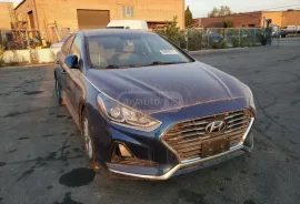 Hyundai, Sonata