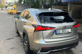 Lexus , NX, NX 300