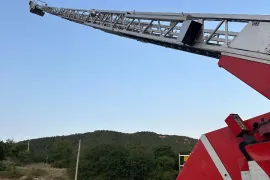 Mercedes-Benz, სხვა