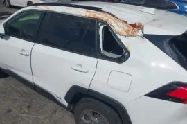 Toyota, RAV4