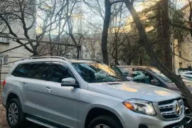 Mercedes-Benz, GLS CLASS, GLS 450