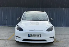 Tesla, Y performance