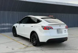 Tesla, Y performance