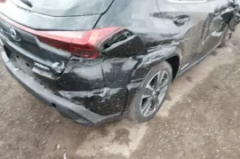Lexus , UX series, UX250h