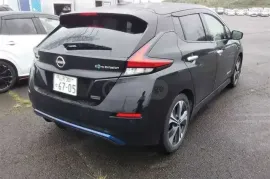 Nissan, Leaf