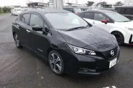 Nissan, Leaf