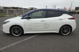 Nissan, Leaf