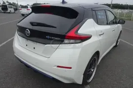 Nissan, Leaf