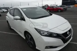 Nissan, Leaf