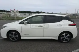 Nissan, Leaf