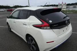 Nissan, Leaf