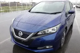 Nissan, Leaf