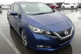 Nissan, Leaf