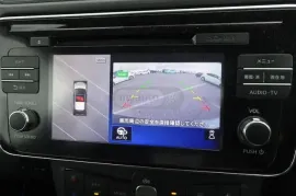 Nissan, Leaf