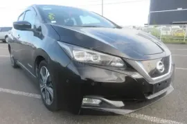 Nissan, Leaf