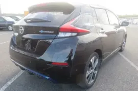 Nissan, Leaf