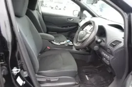 Nissan, Leaf
