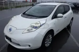 Nissan, Leaf