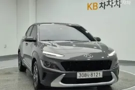 Hyundai, Kona