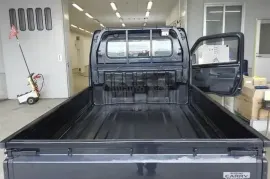 Suzuki, Carry
