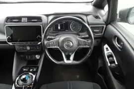 Nissan, Leaf