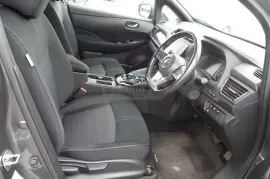 Nissan, Leaf