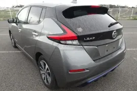 Nissan, Leaf