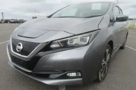 Nissan, Leaf