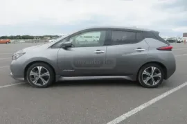 Nissan, Leaf