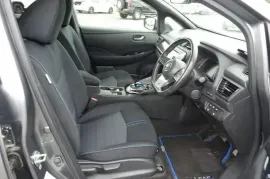 Nissan, Leaf