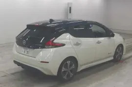 Nissan, Leaf