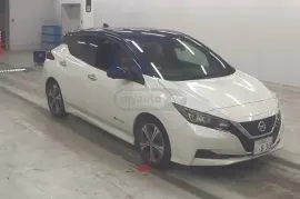 Nissan, Leaf
