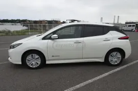 Nissan, Leaf