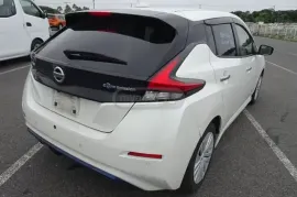 Nissan, Leaf