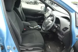 Nissan, Leaf