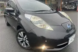 Nissan, Leaf