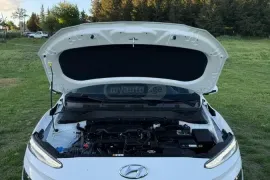 Hyundai, Kona