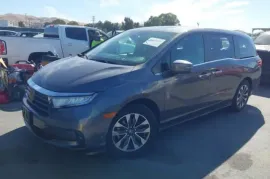 Honda, Odyssey