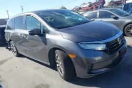 Honda, Odyssey