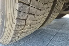 Man, TGX