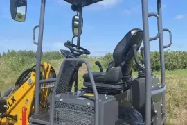 სხვა