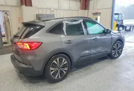 Ford, Escape