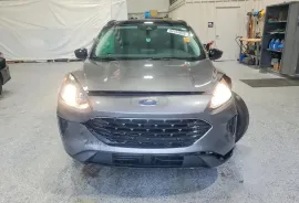 Ford, Escape