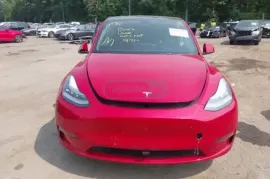 Tesla, Model Y