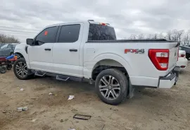 Ford, F150